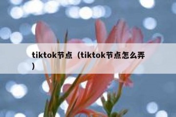 tiktok节点（tiktok节点怎么弄）