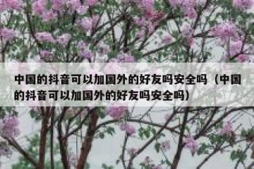 中国的抖音可以加国外的好友吗安全吗（中国的抖音可以加国外的好友吗安全吗）