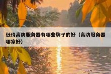 低价高防服务器有哪些牌子的好（高防服务器哪家好）