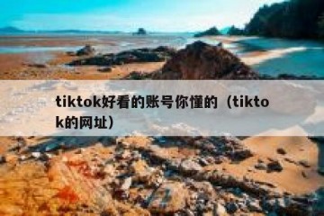 tiktok好看的账号你懂的（tiktok的网址）