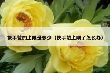 快手赞的上限是多少（快手赞上限了怎么办）