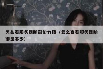 怎么看服务器防御能力值（怎么查看服务器防御是多少）