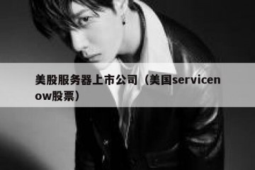 美股服务器上市公司（美国servicenow股票）