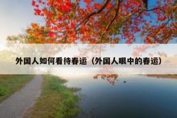 外国人如何看待春运（外国人眼中的春运）
