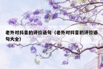 老外对抖音的评价语句（老外对抖音的评价语句大全）