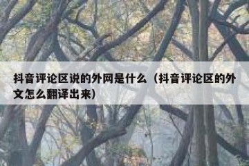 抖音评论区说的外网是什么（抖音评论区的外文怎么翻译出来）