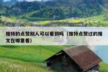 推特的点赞别人可以看到吗（推特点赞过的推文在哪里看）