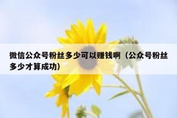 微信公众号粉丝多少可以赚钱啊（公众号粉丝多少才算成功）