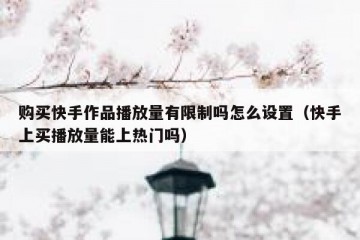 购买快手作品播放量有限制吗怎么设置（快手上买播放量能上热门吗）