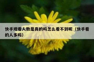 快手观看人数是真的吗怎么看不到呢（快手看的人多吗）