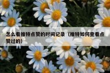 怎么看推特点赞的时间记录（推特如何查看点赞过的）