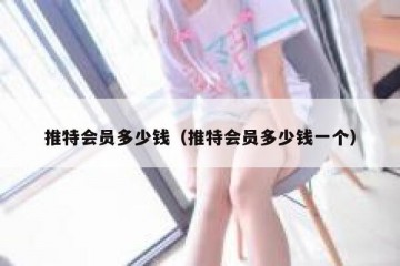 推特会员多少钱（推特会员多少钱一个）