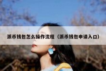 派币钱包怎么操作流程（派币钱包申请入口）