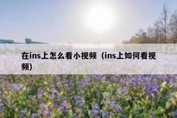 在ins上怎么看小视频（ins上如何看视频）