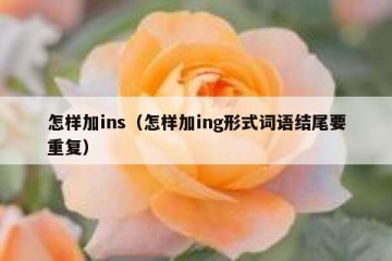怎样加ins（怎样加ing形式词语结尾要重复）