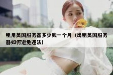 租用美国服务器多少钱一个月（出租美国服务器如何避免违法）