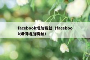facebook增加粉丝（facebook如何增加粉丝）