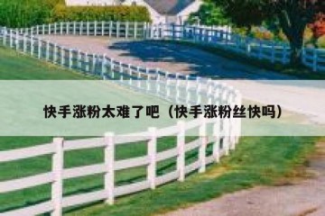 快手涨粉太难了吧（快手涨粉丝快吗）