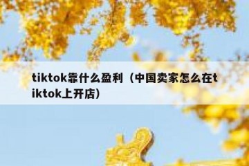 tiktok靠什么盈利（中国卖家怎么在tiktok上开店）
