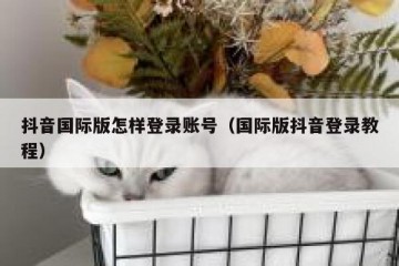 抖音国际版怎样登录账号（国际版抖音登录教程）