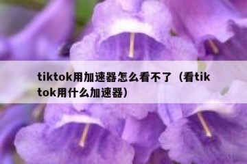 tiktok用加速器怎么看不了（看tiktok用什么加速器）