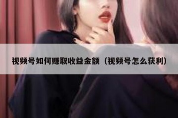 视频号如何赚取收益金额（视频号怎么获利）