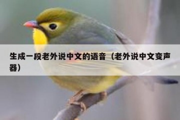 生成一段老外说中文的语音（老外说中文变声器）