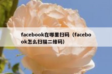 facebook在哪里扫码（facebook怎么扫描二维码）