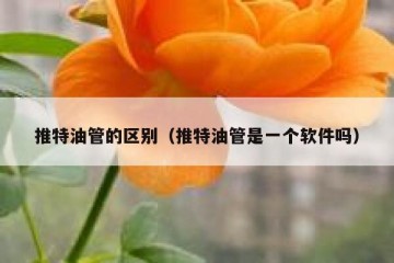 推特油管的区别（推特油管是一个软件吗）