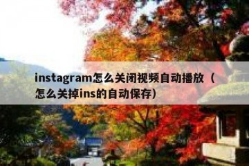 instagram怎么关闭视频自动播放（怎么关掉ins的自动保存）
