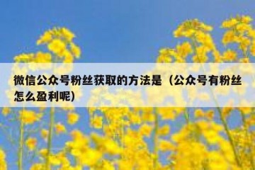 微信公众号粉丝获取的方法是（公众号有粉丝怎么盈利呢）