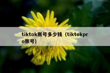 tiktok账号多少钱（tiktokpro账号）