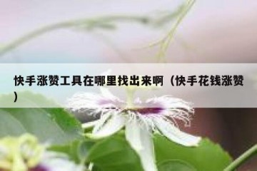 快手涨赞工具在哪里找出来啊（快手花钱涨赞）