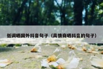 低调晒国外抖音句子（高情商晒抖音的句子）