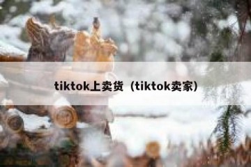 tiktok上卖货（tiktok卖家）