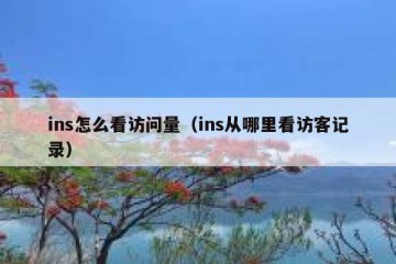 ins怎么看访问量（ins从哪里看访客记录）
