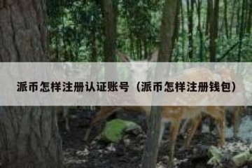 派币怎样注册认证账号（派币怎样注册钱包）