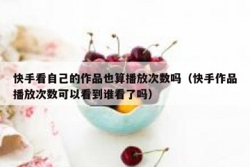 快手看自己的作品也算播放次数吗（快手作品播放次数可以看到谁看了吗）