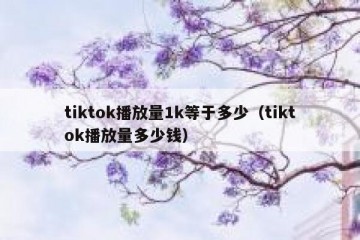 tiktok播放量1k等于多少（tiktok播放量多少钱）