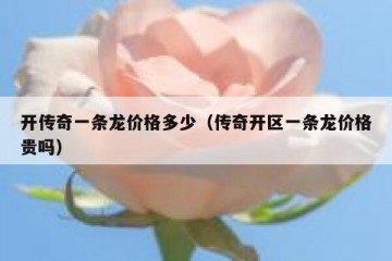 开传奇一条龙价格多少（传奇开区一条龙价格贵吗）