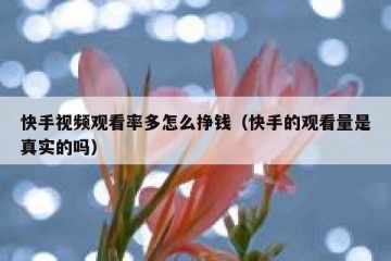 快手视频观看率多怎么挣钱（快手的观看量是真实的吗）