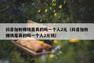 抖音加粉赚钱是真的吗一个人2元（抖音加粉赚钱是真的吗一个人2元钱）