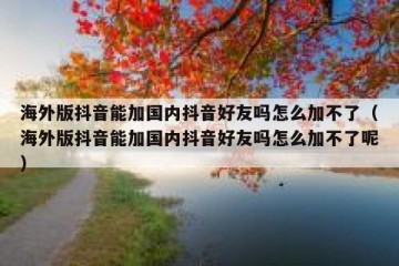 海外版抖音能加国内抖音好友吗怎么加不了（海外版抖音能加国内抖音好友吗怎么加不了呢）