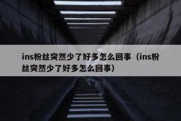 ins粉丝突然少了好多怎么回事（ins粉丝突然少了好多怎么回事）