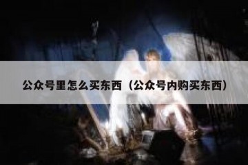 公众号里怎么买东西（公众号内购买东西）