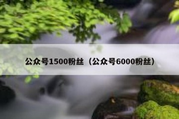 公众号1500粉丝（公众号6000粉丝）