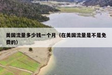 美国流量多少钱一个月（在美国流量是不是免费的）