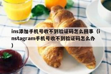 ins添加手机号收不到验证码怎么回事（instagram手机号收不到验证码怎么办）