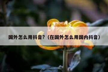 国外怎么用抖音?（在国外怎么用国内抖音）