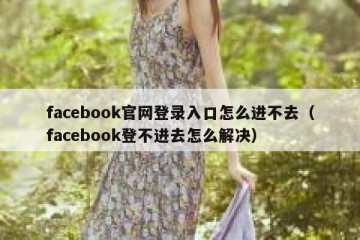 facebook官网登录入口怎么进不去（facebook登不进去怎么解决）